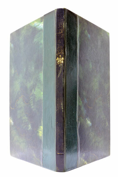 Exemplum Literarum ad serenissimum daniae et Norvegiae regem a Gallico …