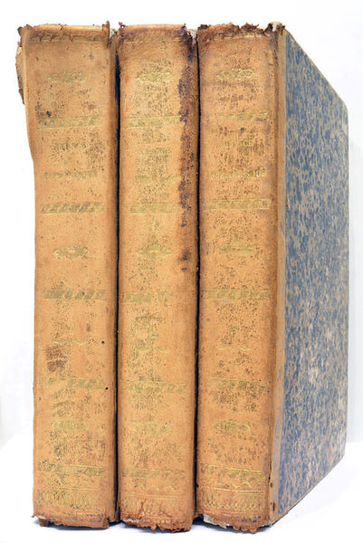 France Pittoresque ou description pittoresque, topographique et statistique des Départements …