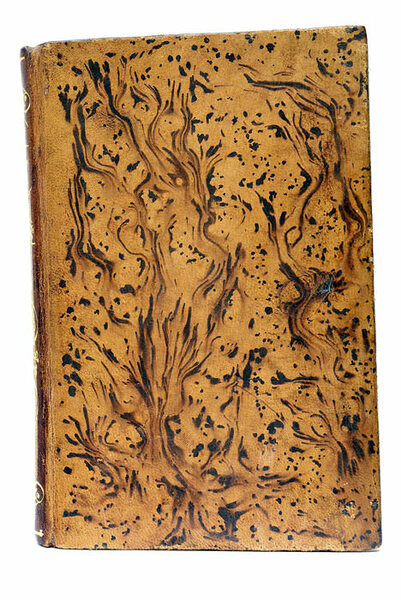 Compendio de Materia Médica para el uso de los Médicos …