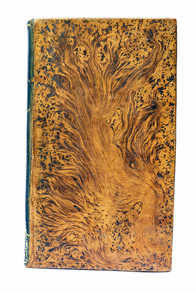 Noches de Torcuato Tasso. Traducidas del Italiano por D. F. …