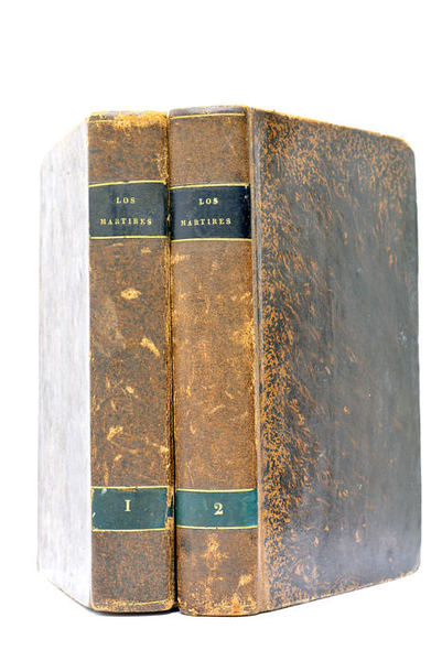 Los Mártires ó el triunfo de la Religion Christiana. Poema …