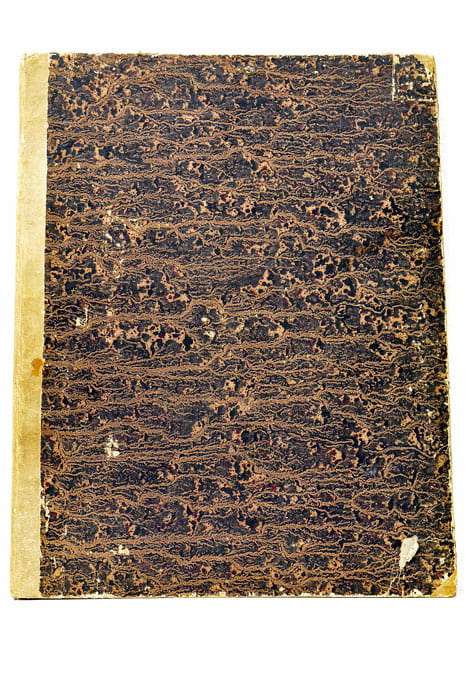 À S.A.R. Madame La Duchesse D'Orléans. Collection Complète des Sonates …