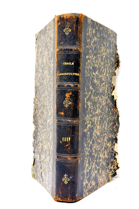 Bulletins d'arboriculture de floriculture et de culture potagère. Organe du …