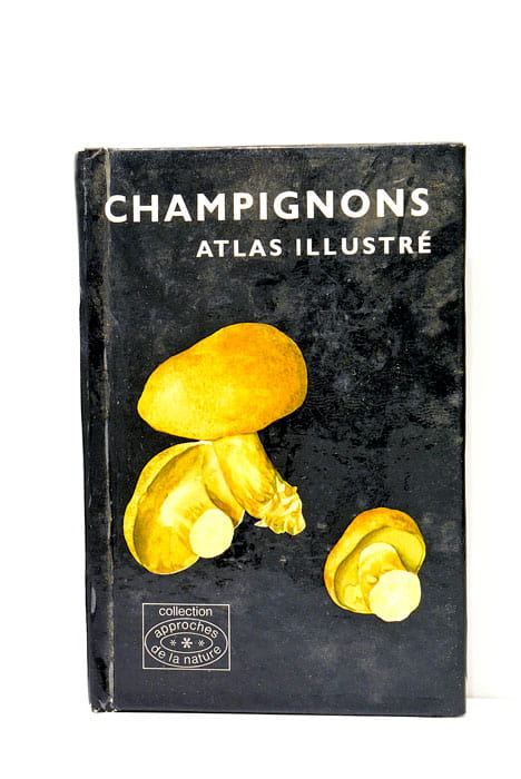 Champignons atlas illustré.