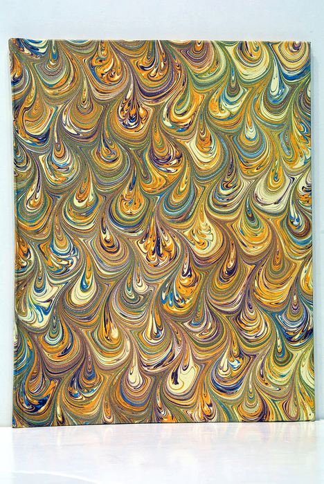 Considérations sur le Végétal vu dans des Rapports Anatomiques, Physiologiques …