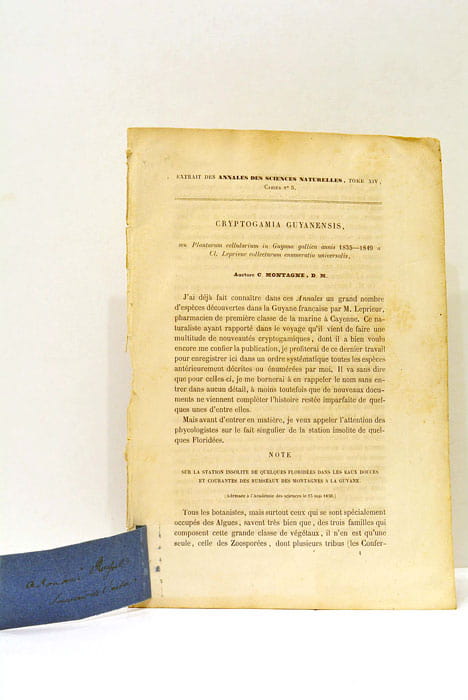 Cryptogamia Guyanensis seu Plantarum Cellularum in Guyana gallica annis 1835-1849 …