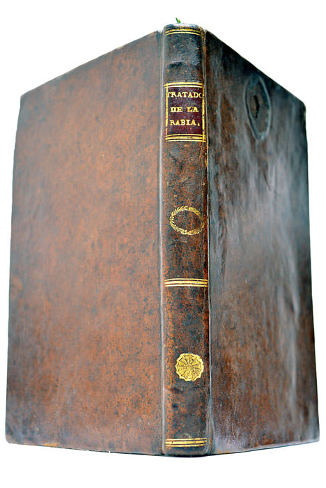 Disertación acerca de la Rabia espontanea ó de causa interna, …