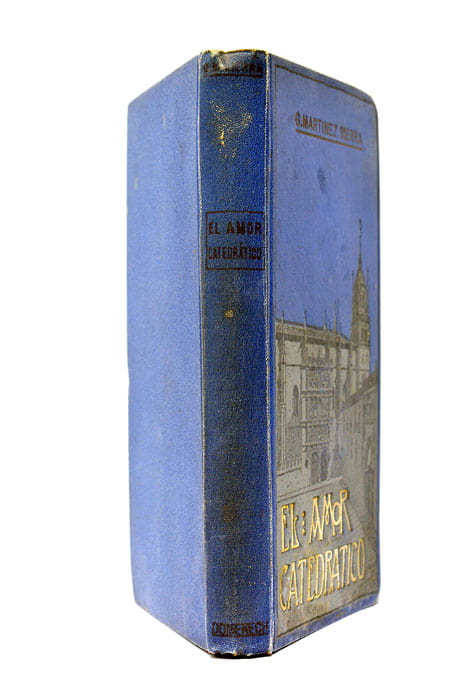 El Amor Catedrático.