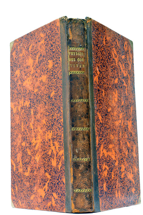 Essai sur la Physiognomonie des Corps Vivans, considérée depuis l'homme …