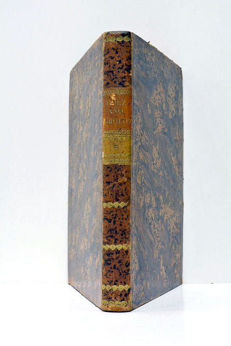 Finezas de la Gran Reyna del cielo Maria Santissima, Virgen, …