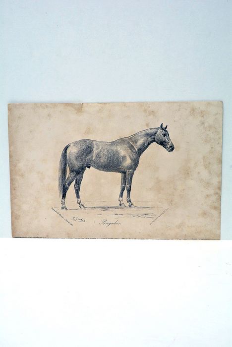 Gravure de cheval du peintre illustrateur Jean Richard Goubie (Paris …