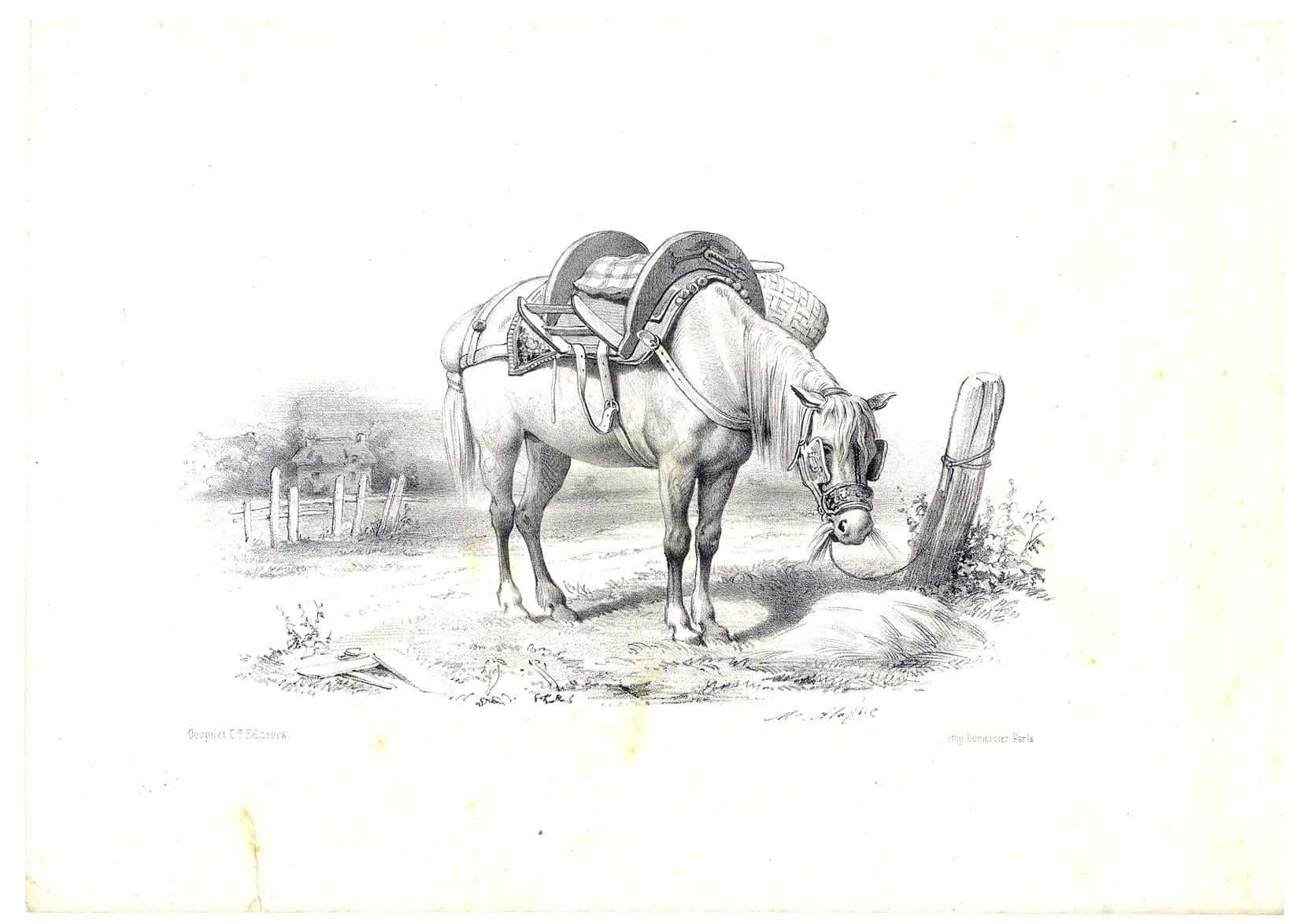 Gravure de cheval du peintre, lithographe et photographe français Marie …
