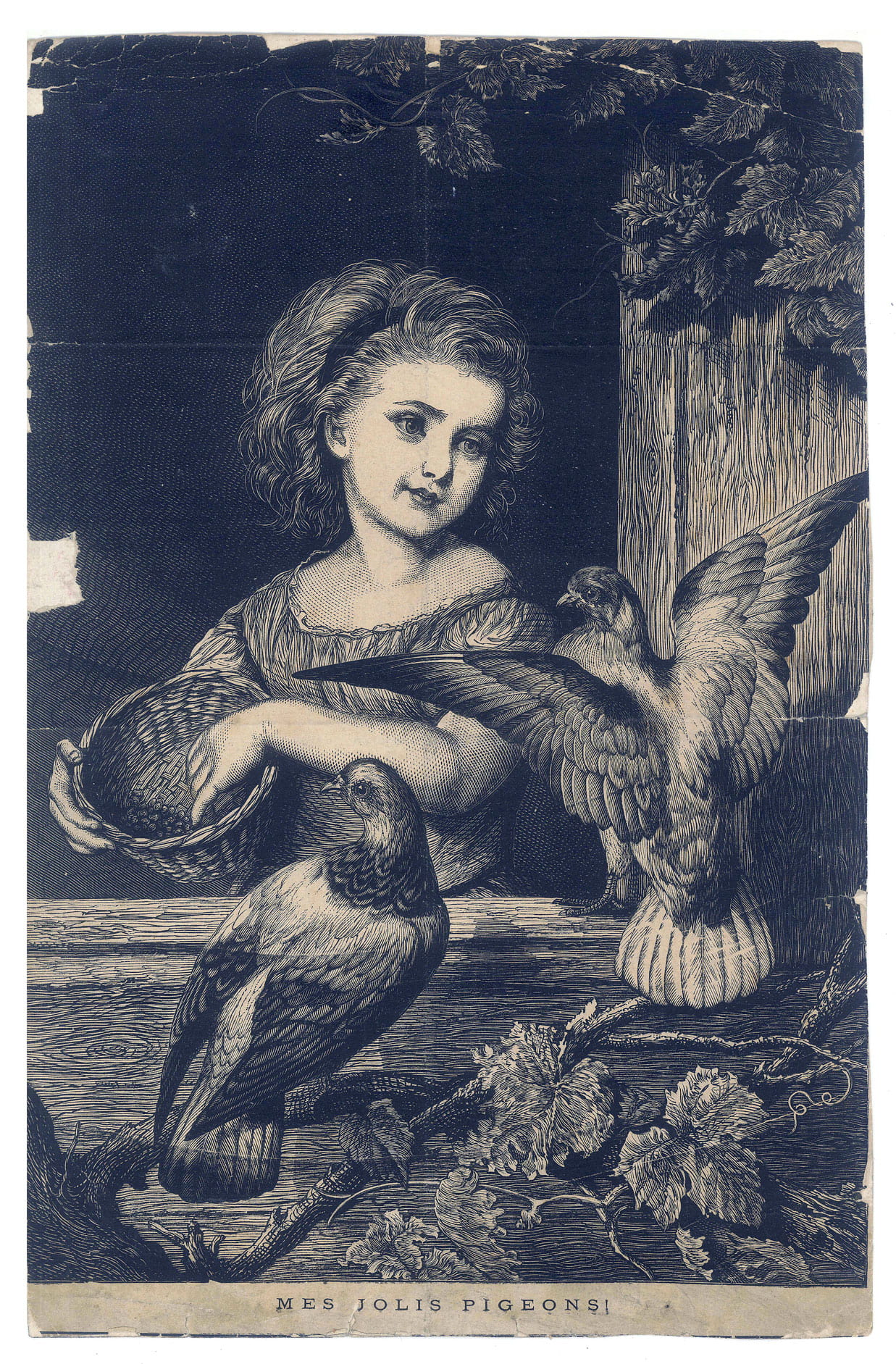 GRAVURE Mes jolis pigeons ! reprenant de façon inversée l'image …