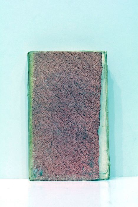 Histoire naturelle de Buffon mise dans un nouvel ordre; précédé …