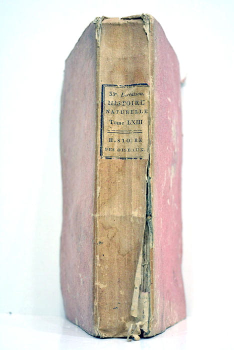 Histoire naturelle, des oiseaux.