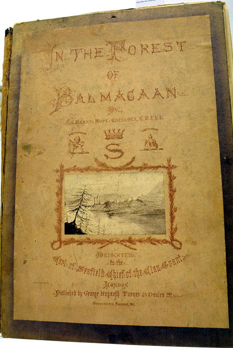In the Forest of Balmacaan.