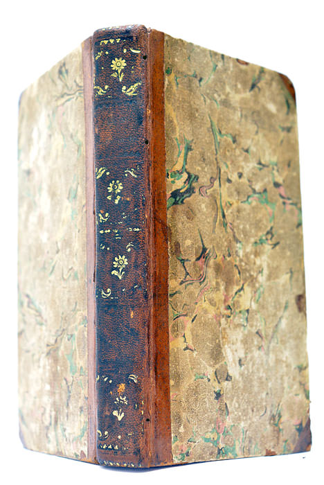 L'Esempio della Francia Avviso e Specchio all'Inghilterra.