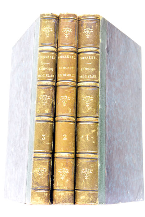 L'Esprit des Bêtes. Le Monde des Oiseaux. Ornithologie Passionnelle.