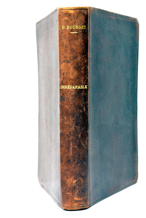 L'irréparable. Deuxième amour profils perdus.