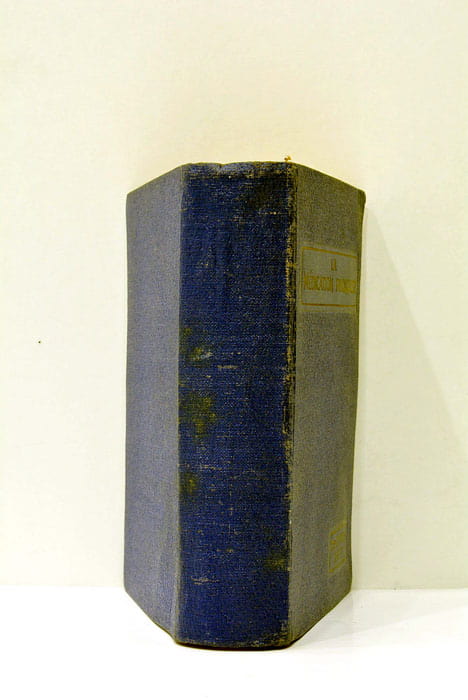 La médication française. Guide thérapeutique des spécialités pharmaceutiques françaises.