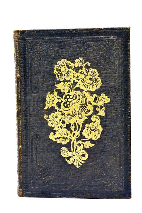 La Mouche qui vole ou les Bons Petits Enfants.