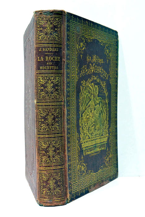 La roche aux mouettes. Dessins par E. Bayard et Ferat. …
