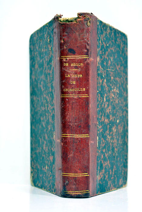 La soeur de gribouille.