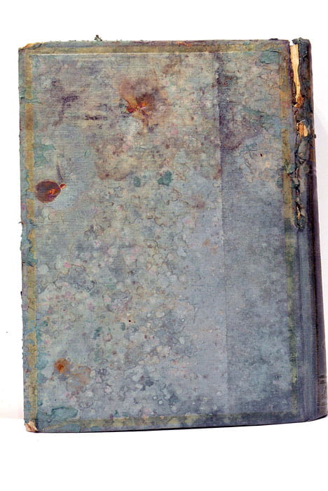 Larousse ménager - Dictionnaire illustré de la vie domestique.