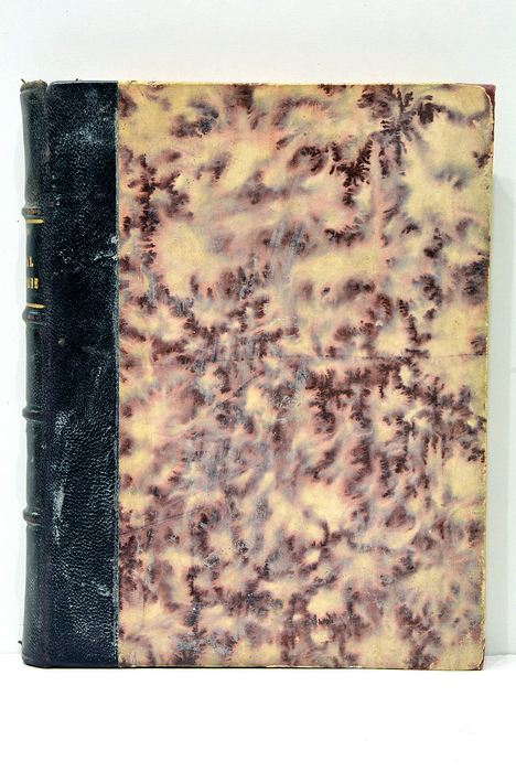 Le mal héréditaire. Les descendants de Charles-Quint.