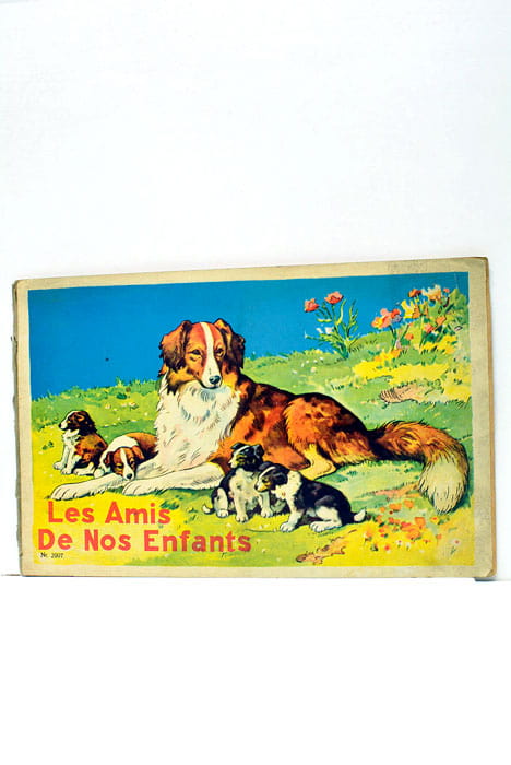 LES AMIS de nos enfants.