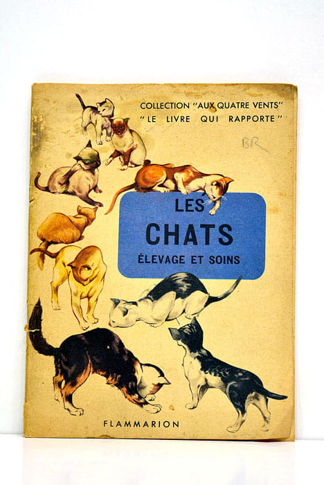 LES CHATS élevage et soins.