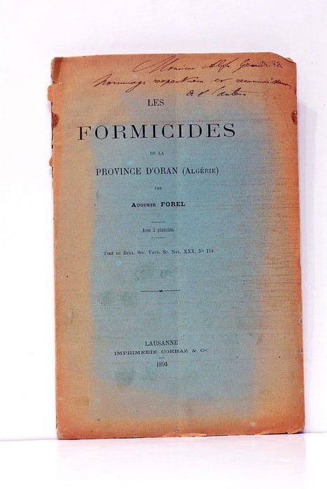 Les formicidés de la province d'Oran (Algérie).