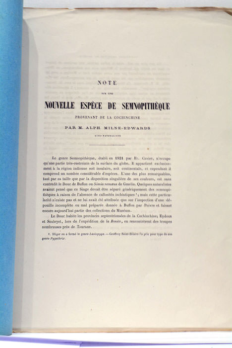 Note sur une nouvelle espèce de semnopitheque provenant de la …