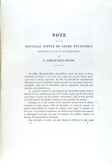 Note sur une nouvelle espèce du genre Nycticebus provenant de …