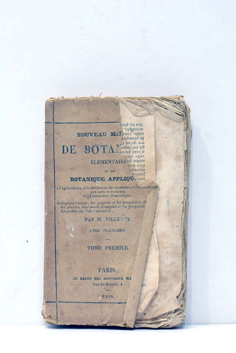 Nouveau manuel de botanique élémentaire et de botanique appliquée. Tome …