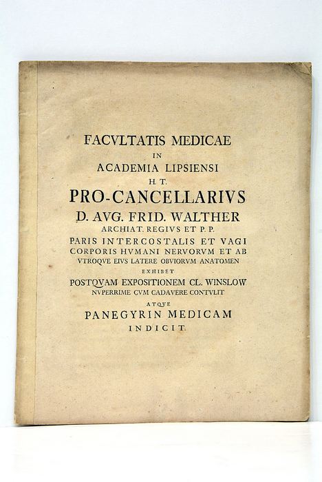 Paris intercostalis et vagi corporis humani nervorum et ab utroque …