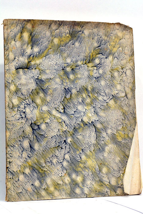 Prolusio Dissertationum De Utilitate Scientiae Physicae. In Rite et Ex …