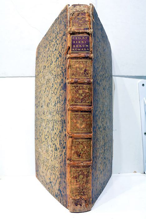 RERUM ROMANARUM LIBRI DUO PRIORES, Ex Criticorum Observationibus correcti, Cum …