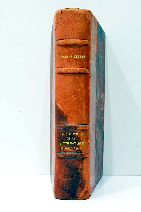 Une histoire de la litterature française.