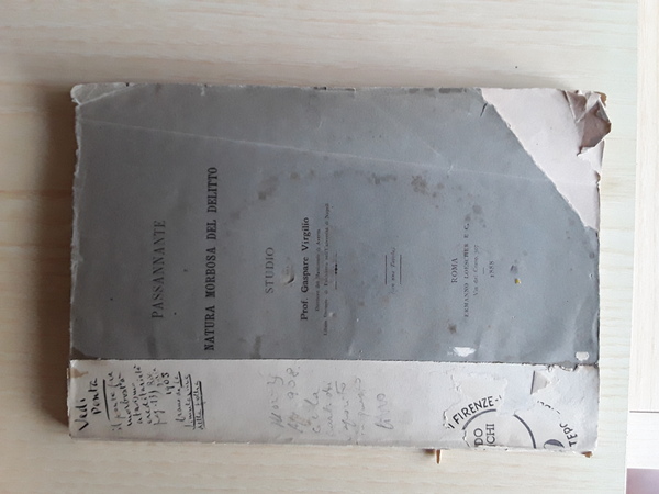 PASSANNANTE E LA NATURA MORBOSA DEL DELITTO