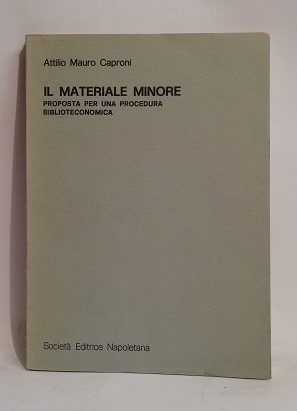 IL MATERIALE MINORE.