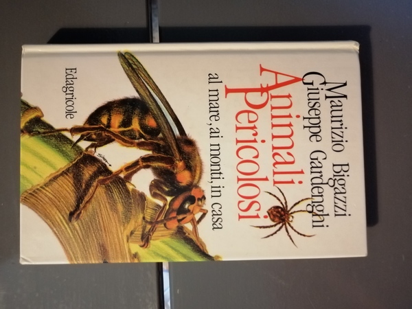 ANIMALI PERICOLOSI AL MARE AI MONTI IN CASA