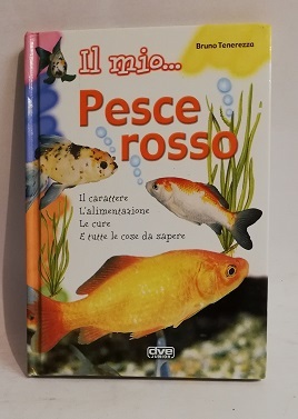 IL MIO PESCE ROSSO.