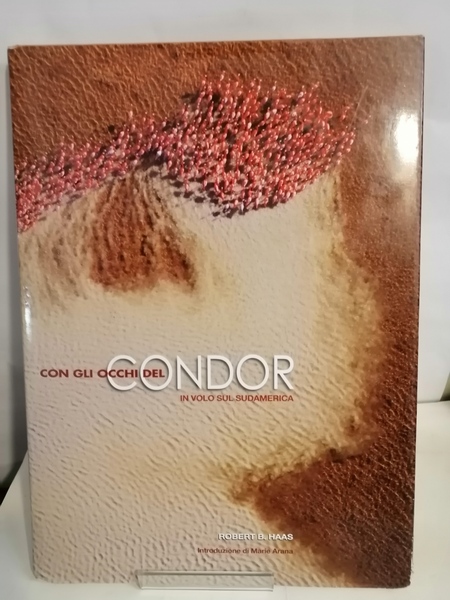 CON GLI OCCHI DEL CONDOR