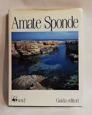 AMATE SPONDE.