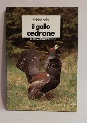 IL GALLO CEDRONE.