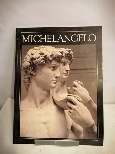 MICHELANGELO ALLE WERKE