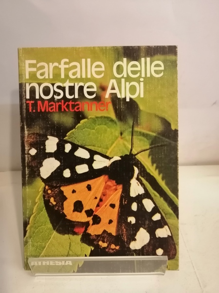 FARFALLE DELLE NOSTRE ALPI