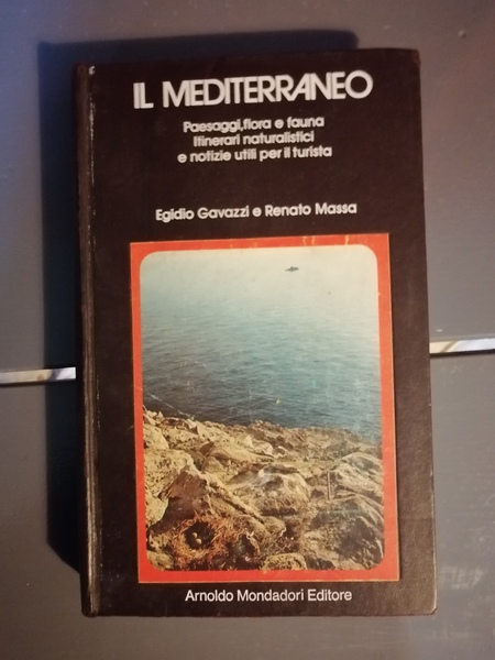 IL MEDITERRANEO.