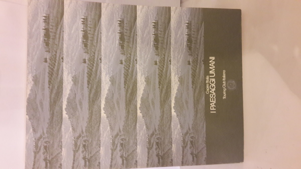 CAPIRE L'ITALIA - I PAESAGGI UMANI.